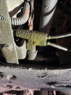 IMG_0118 (1).jpeg