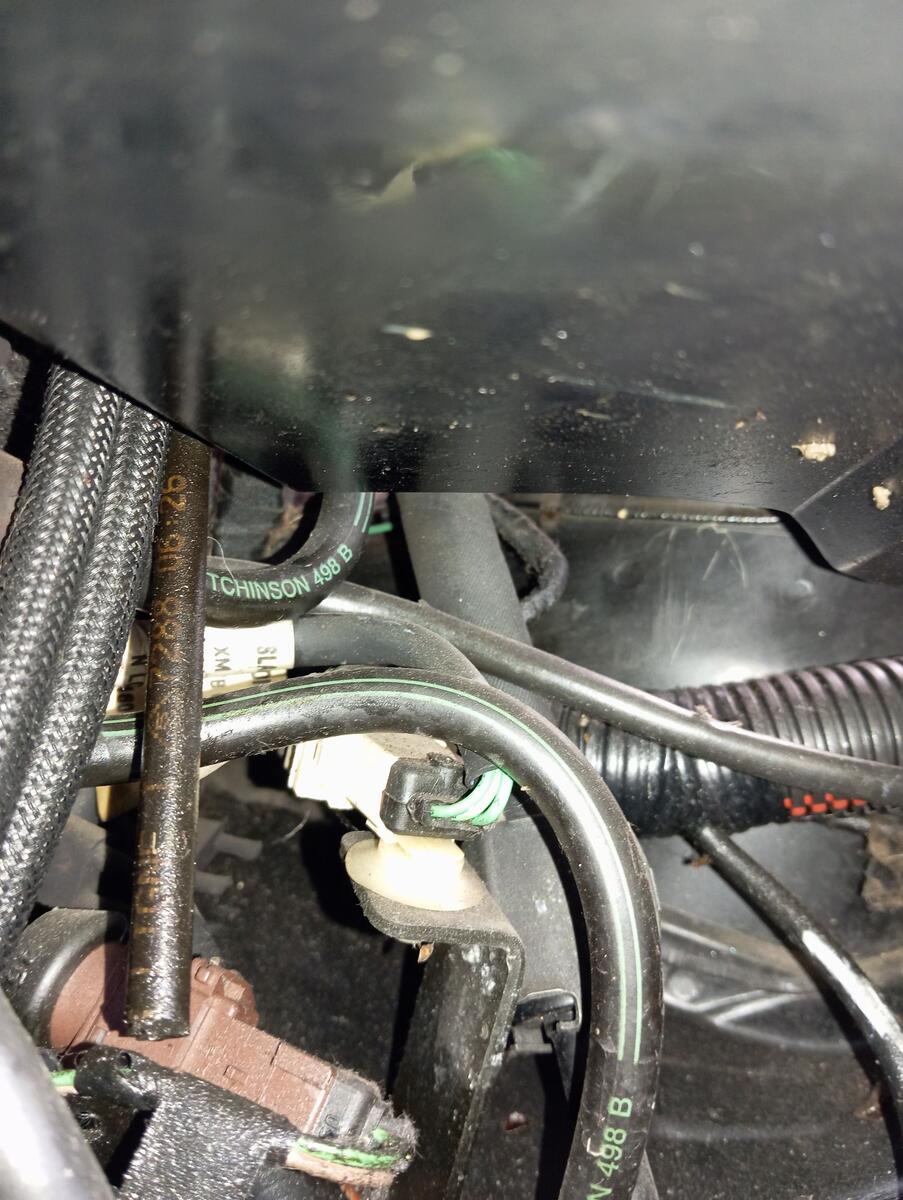 Stecker_LHM.jpg
