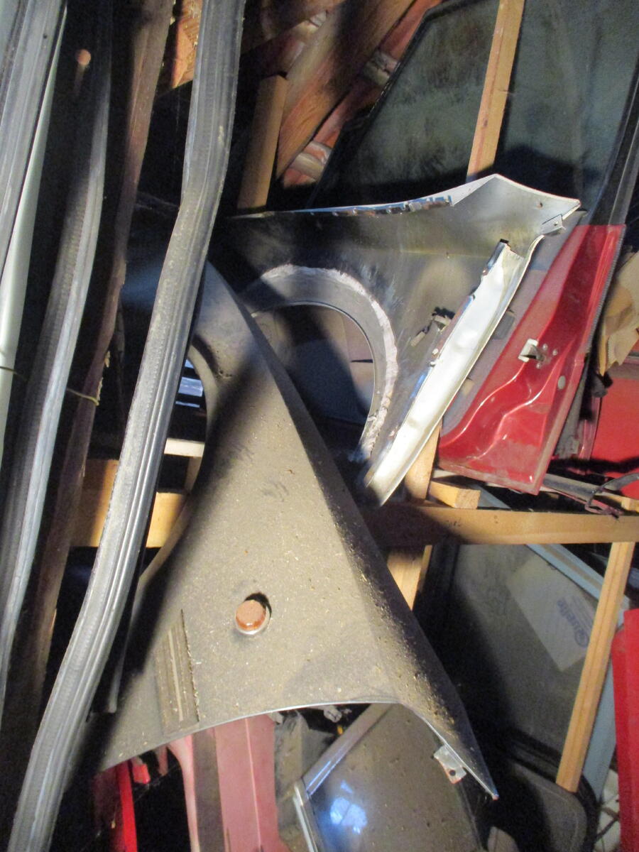 large.IMG_3524.JPG