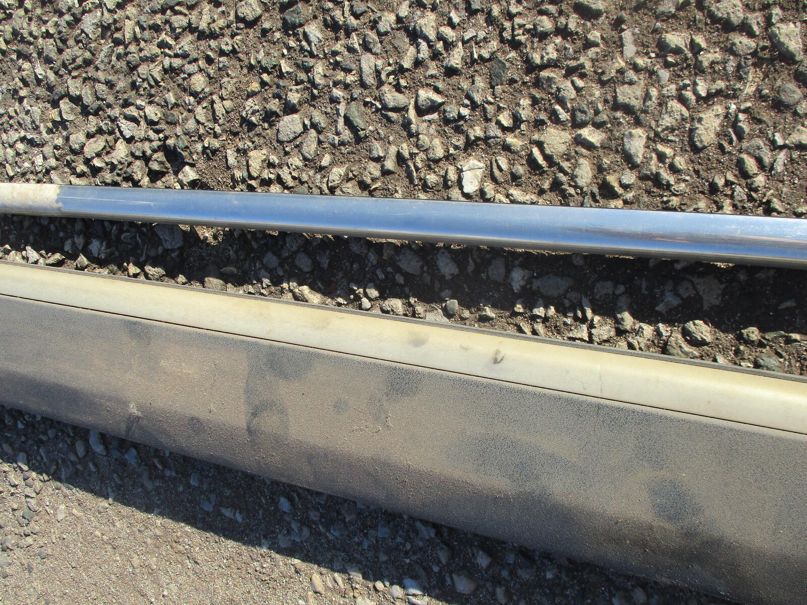 large.IMG_3543.JPG