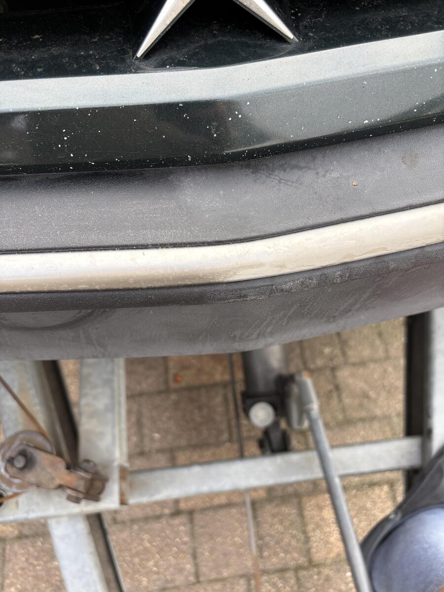 large.IMG_4948.jpeg