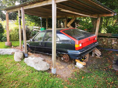 BX_413.jpg