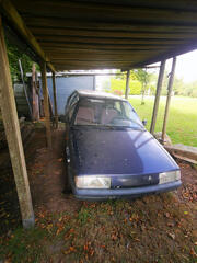 BX_453.jpg