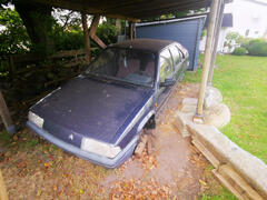 BX_517.jpg
