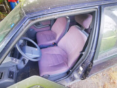 BX_539.jpg