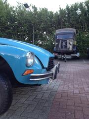IMG_2132.jpeg