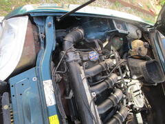 IMG_3615.JPG