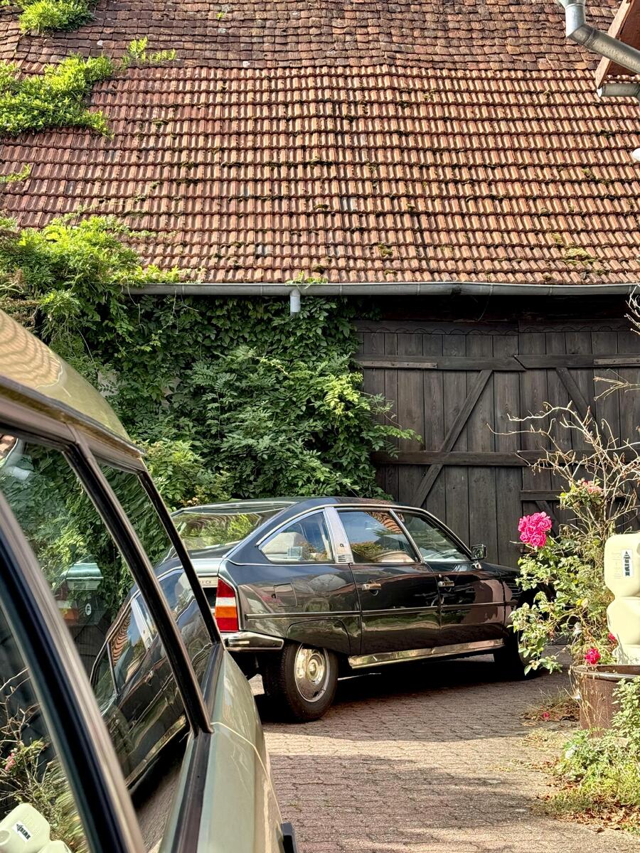 large.IMG_4882.jpeg