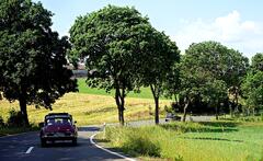 DSC00225_b.JPG