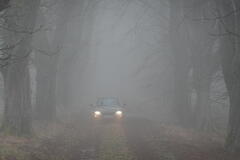 DSC04519.JPG