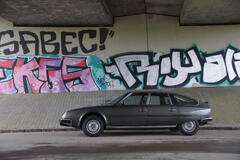 DSC08368.JPG