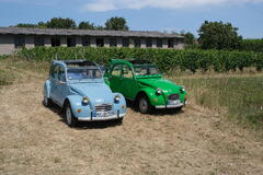 DSCF5198.JPG