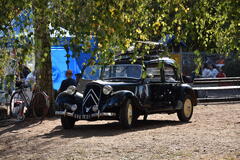 DSC_0137.JPG