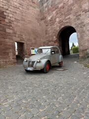 IMG_1178.jpeg