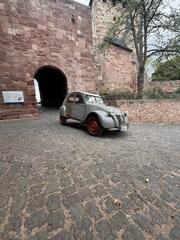 IMG_1186.jpeg
