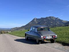 IMG_1869.jpeg