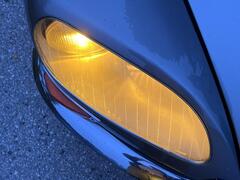 IMG_1942.jpeg