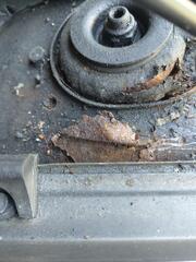 IMG_20260725_165851354.jpg