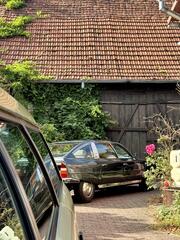 IMG_4882.jpeg