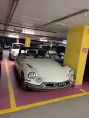 IMG_5157.jpeg