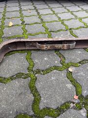 IMG_5252.jpeg