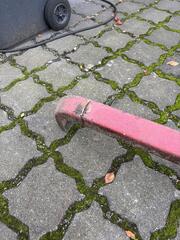 IMG_5254.jpeg
