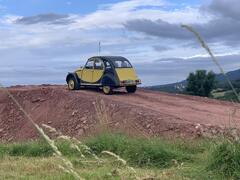 IMG_5877.jpeg