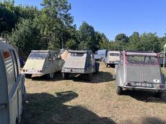 IMG_9031.jpeg