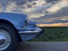 IMG_9450.jpeg